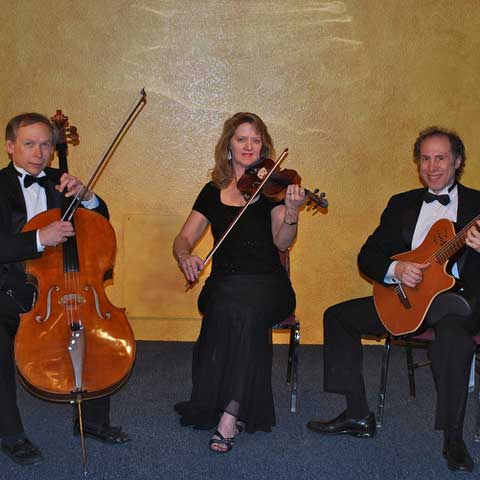 SS String Trio